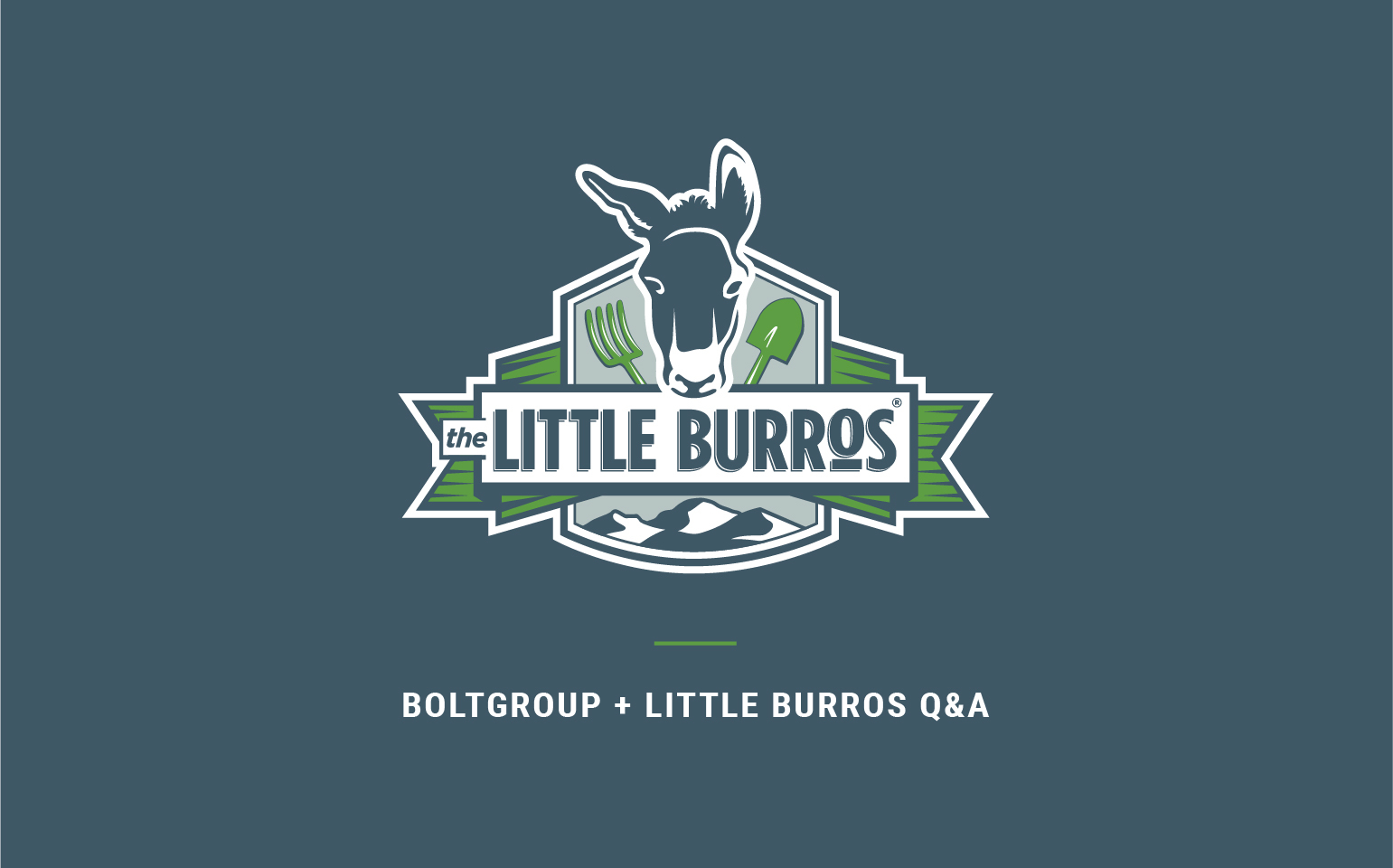 Little Burros Logo