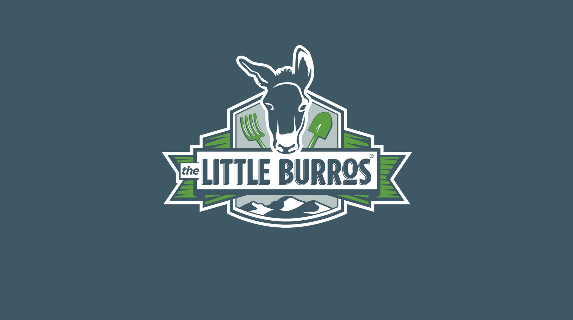 Little Burros Logo