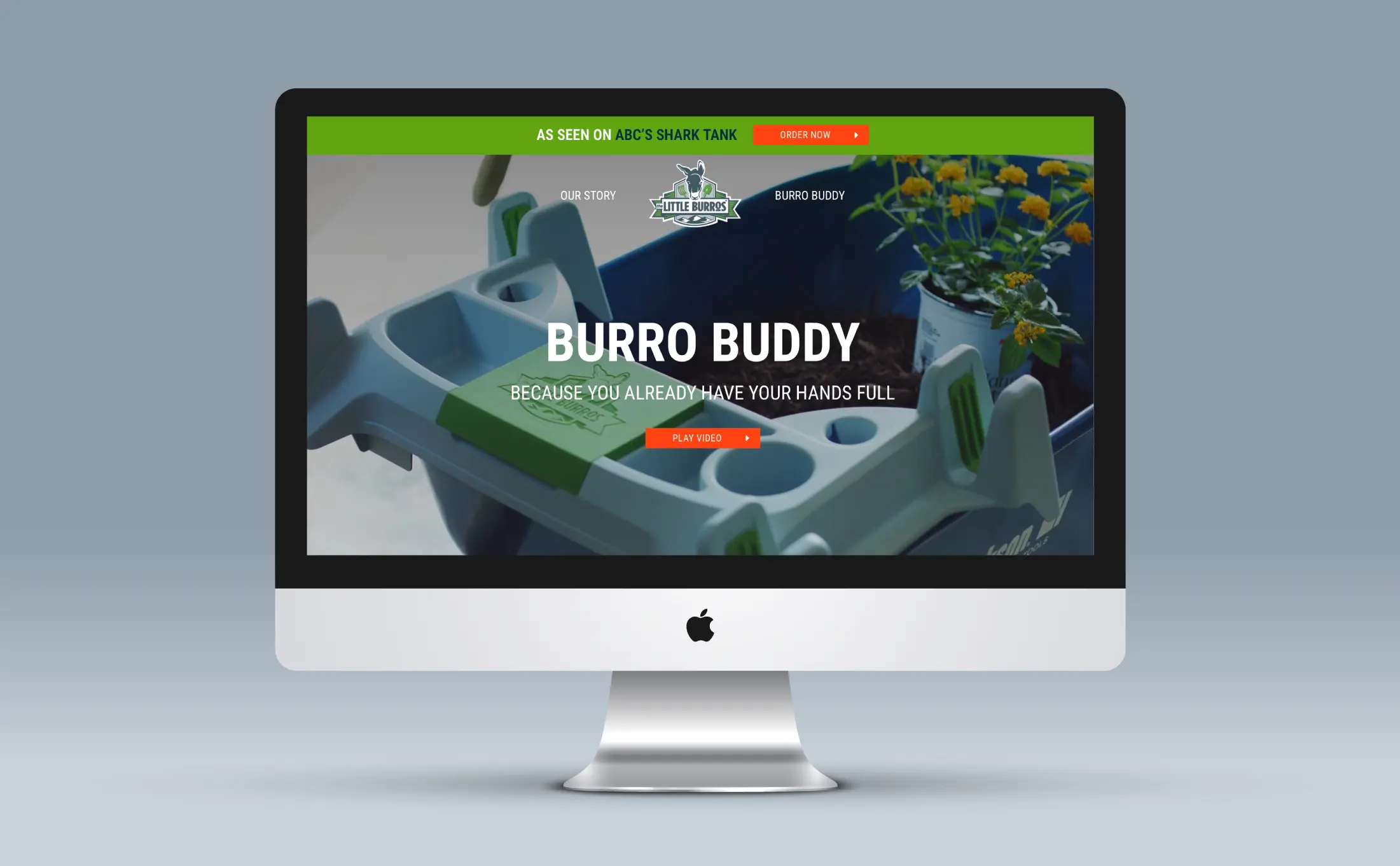Little Burros Website Design