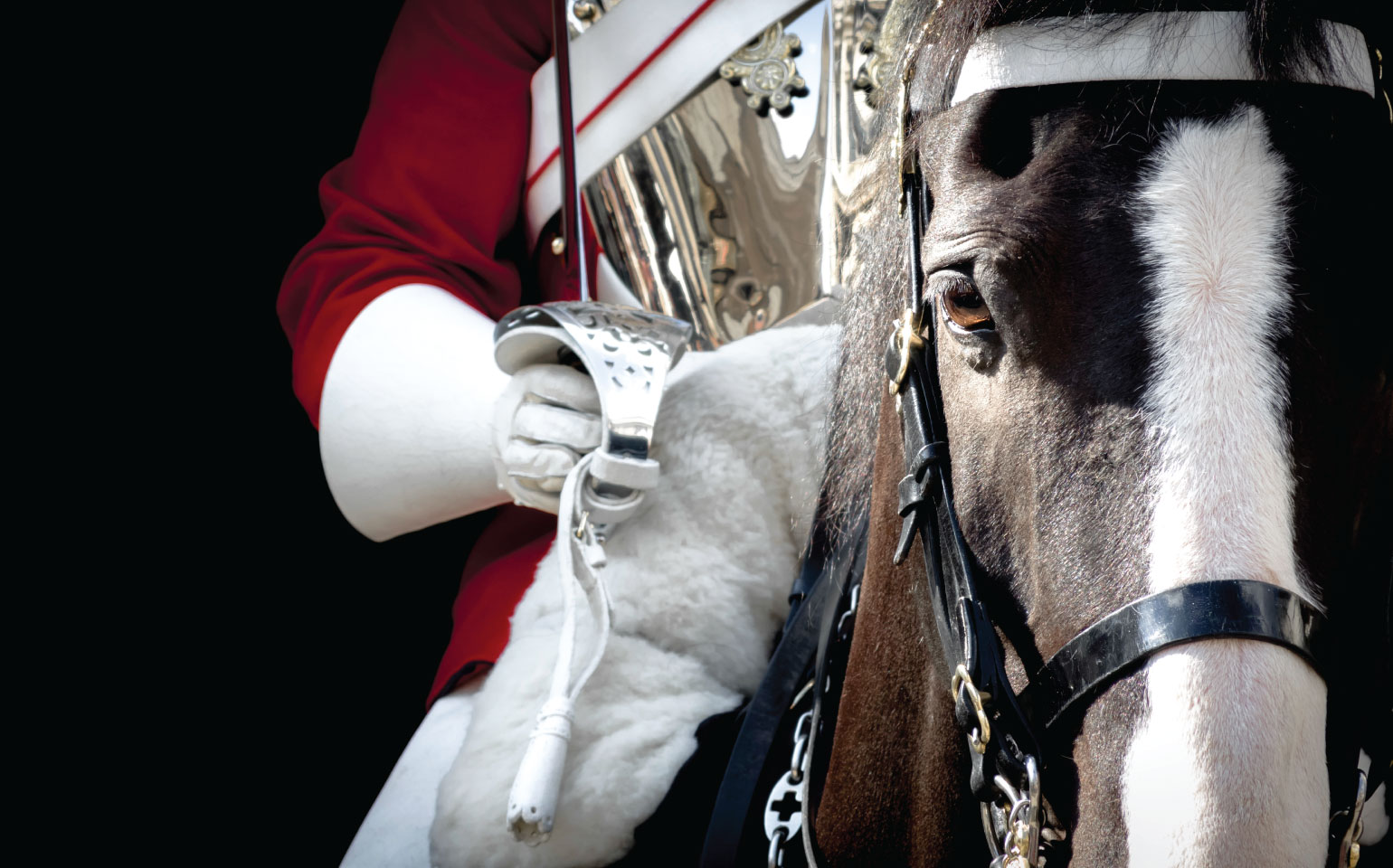 Royal Guard Horse Gatekeeper