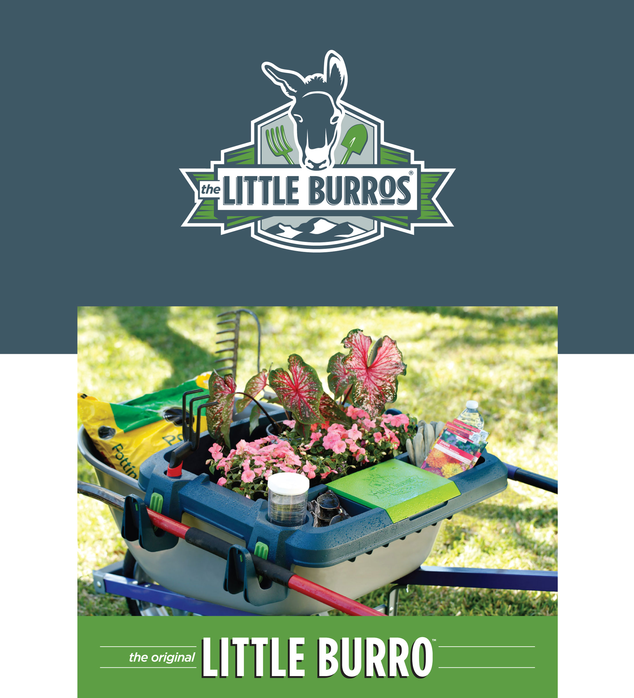 Little Burros logos and photography art direction