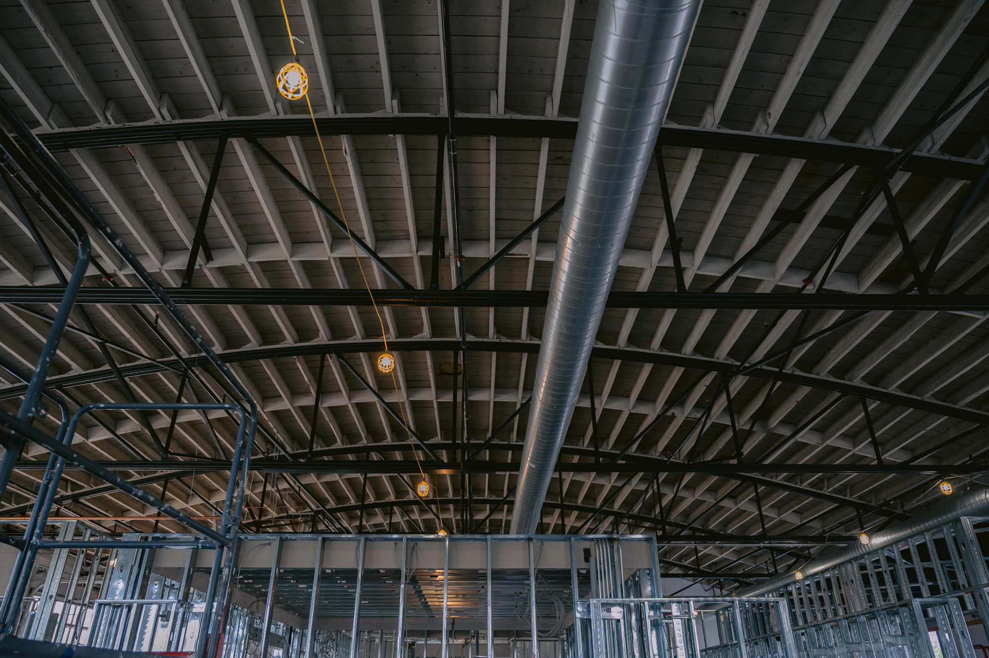 Bow truss ceiling of BOLTGROUP's new office