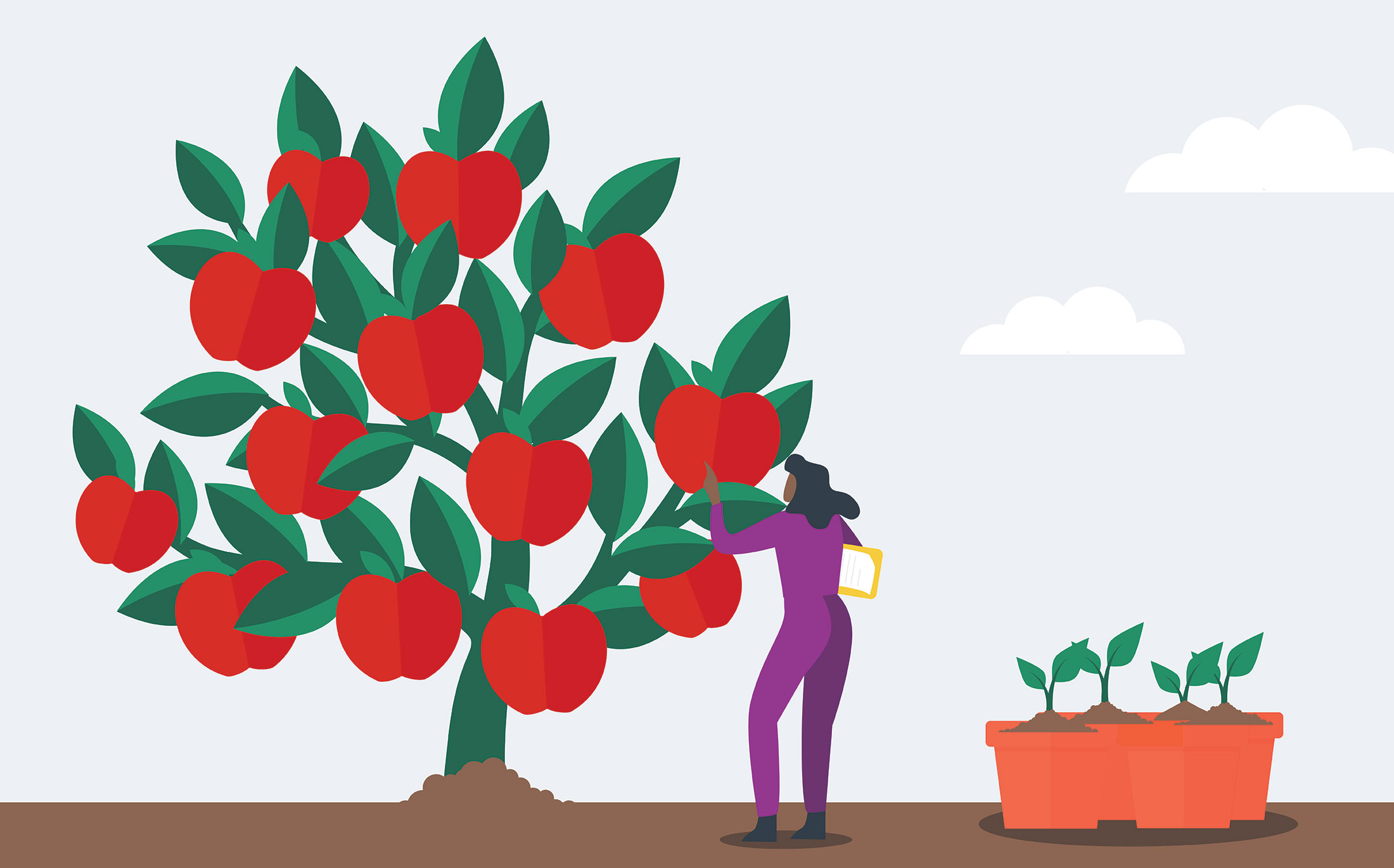 illustration of a person picking apples from a tree