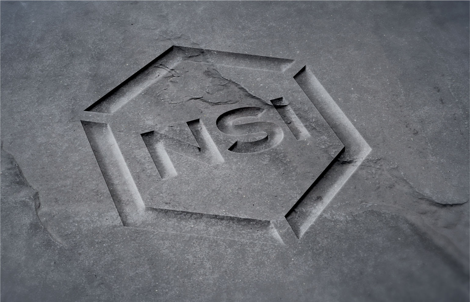 NSI logo carved into stone
