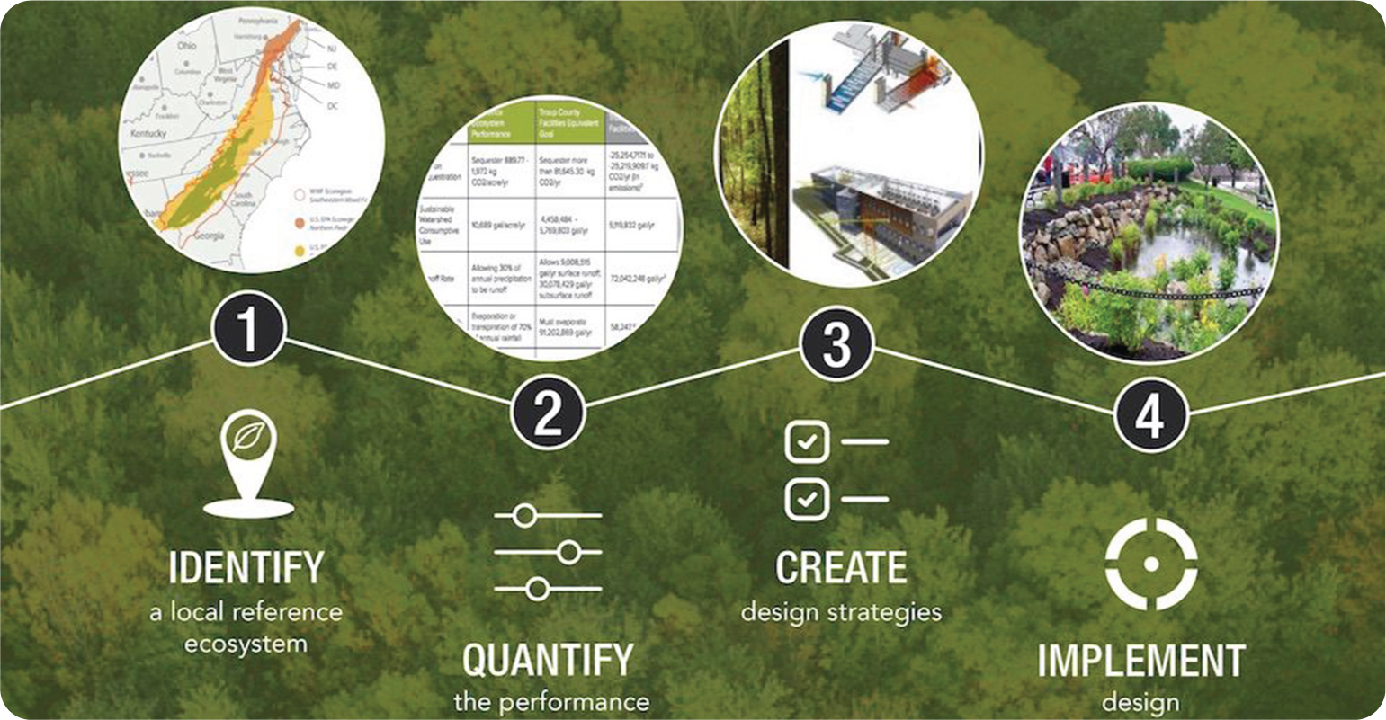 diagram of the four steps that make up the Factory as a Forest concept