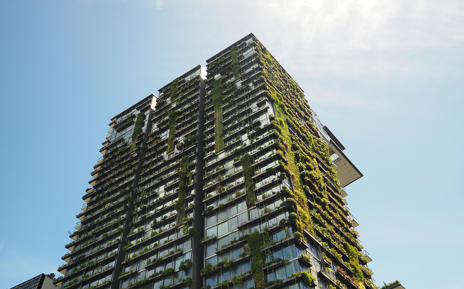 living plants on high-rise building