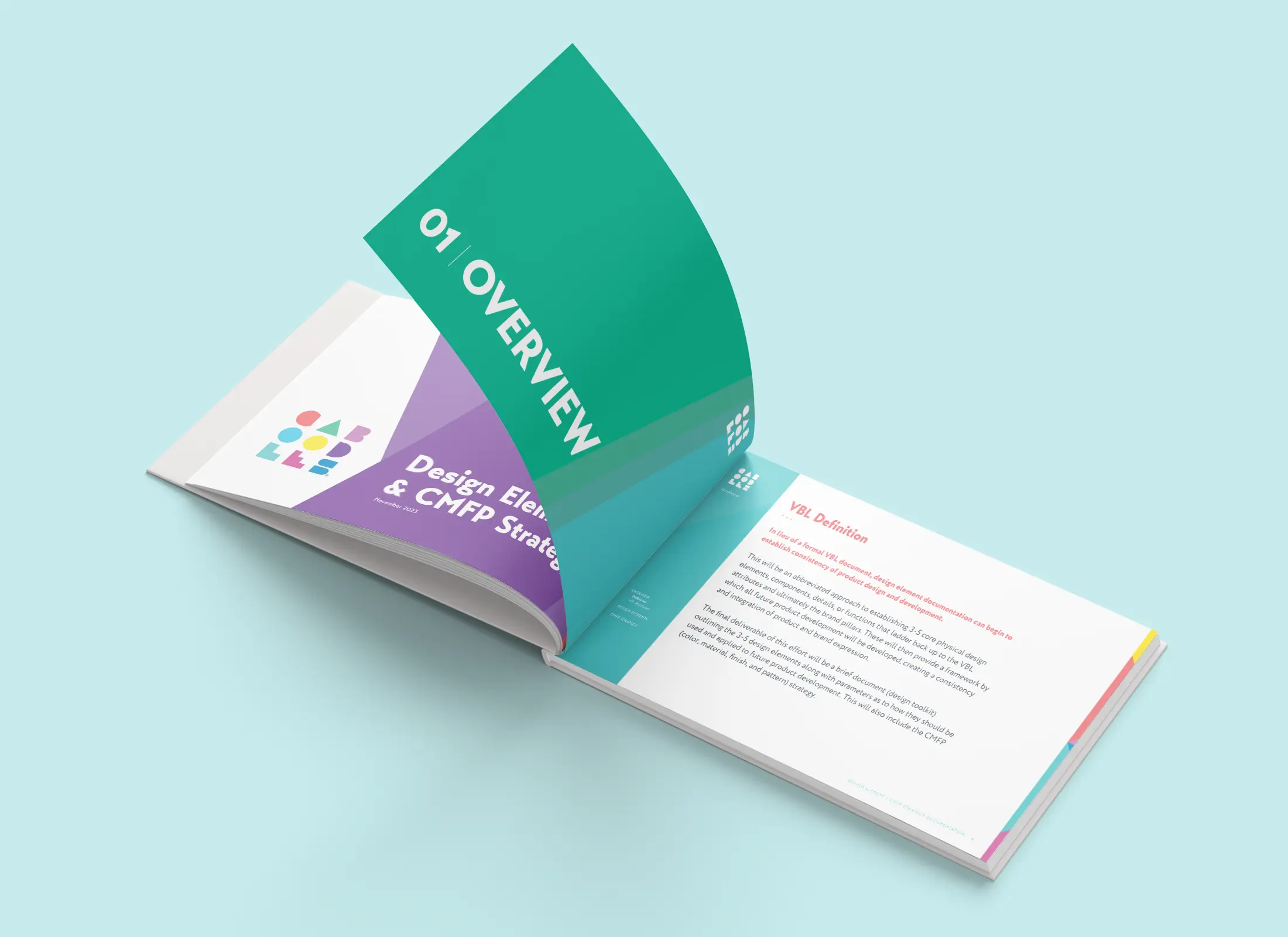 pages from the Caboodles CMFP strategy guidelines document