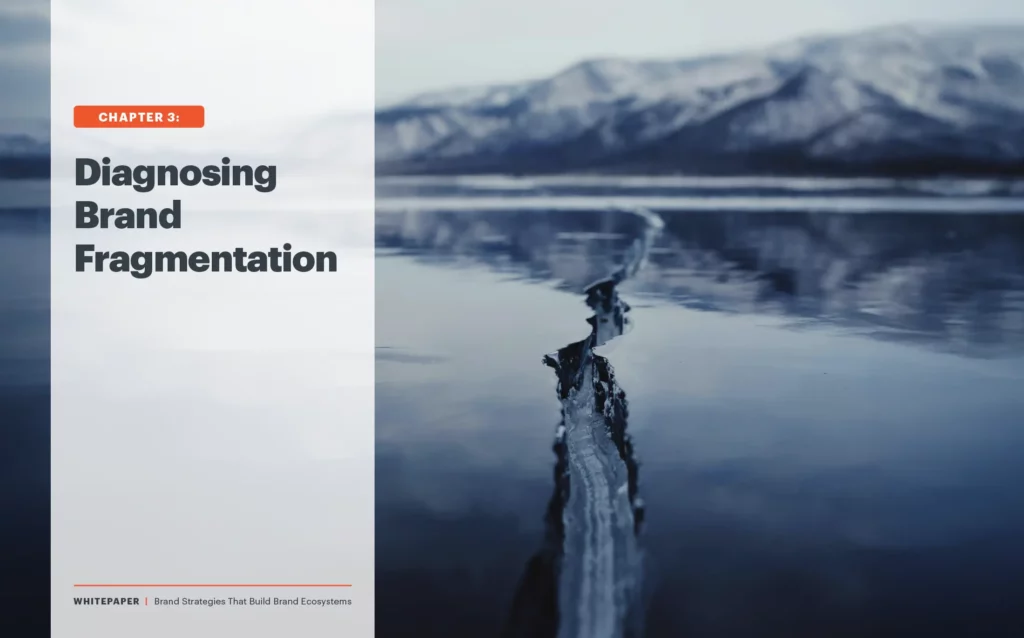 Brand Dissection Diagnosing Brand Fragmentation | Brand Strategies
