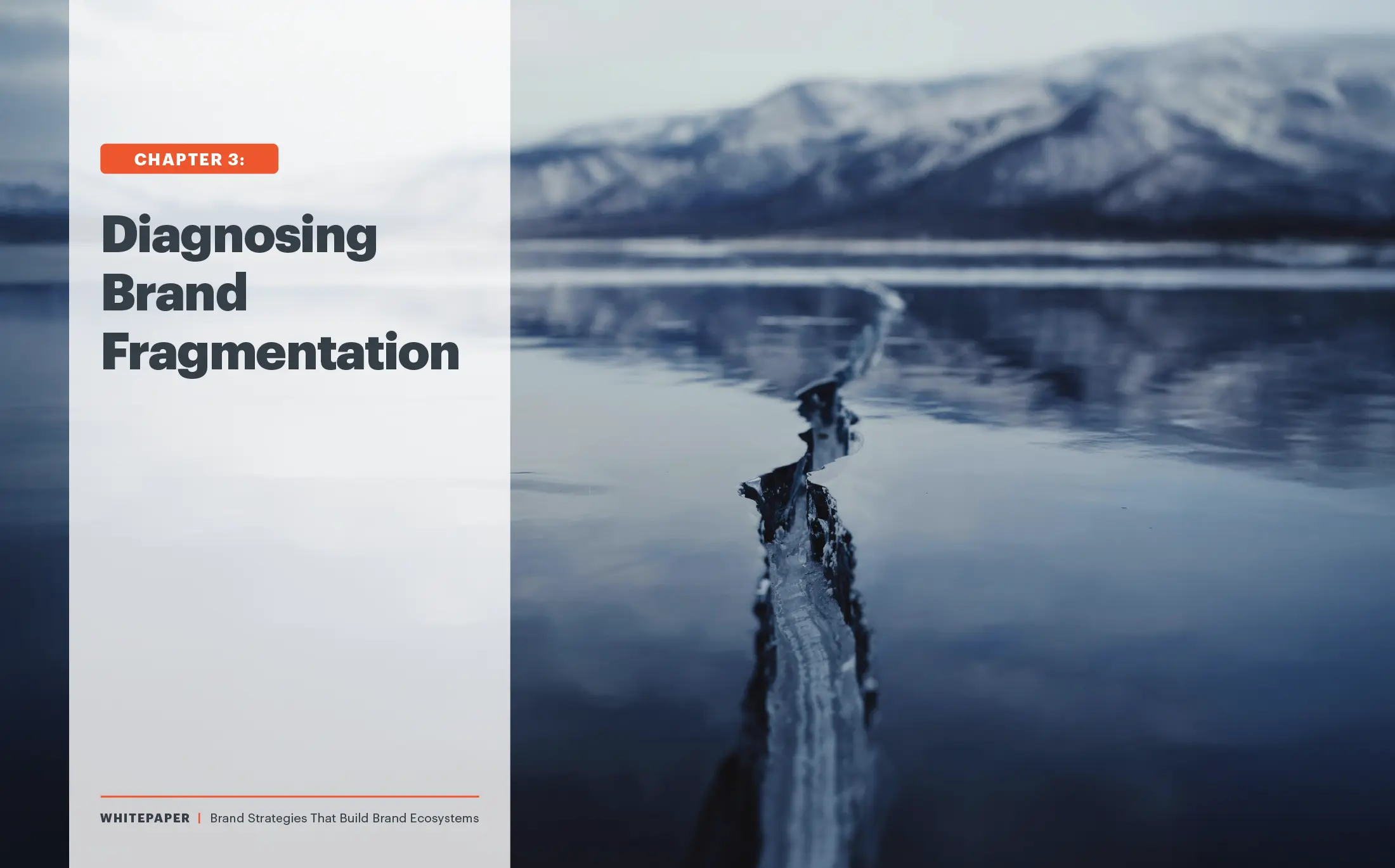 Diagnosing Brand Fragmentation