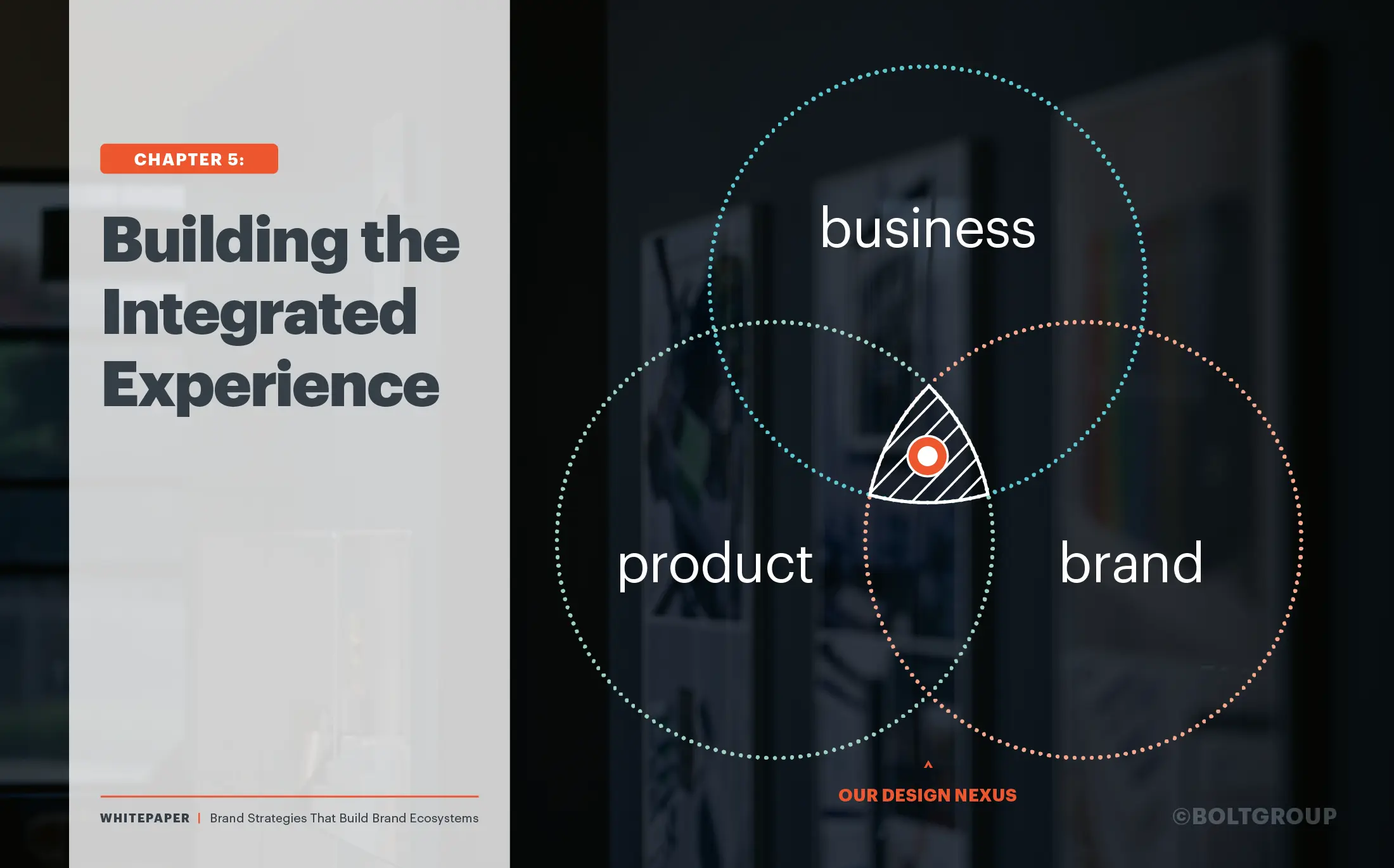 Building the Integrated Experience