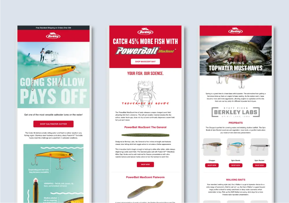 Berkley email template digital design