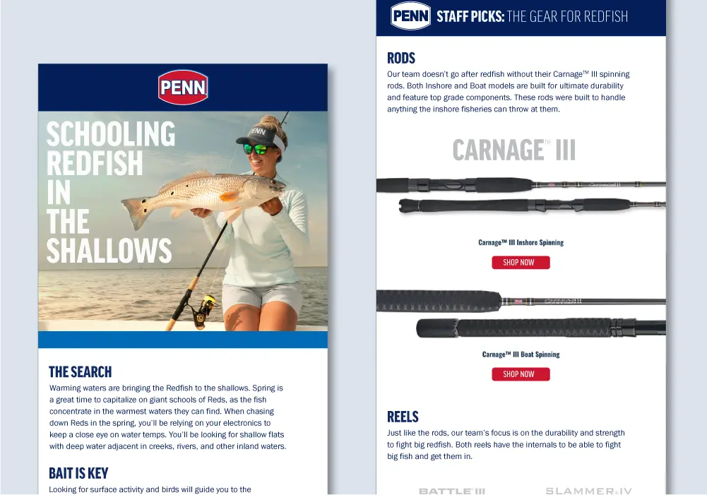 Penn email template digital design