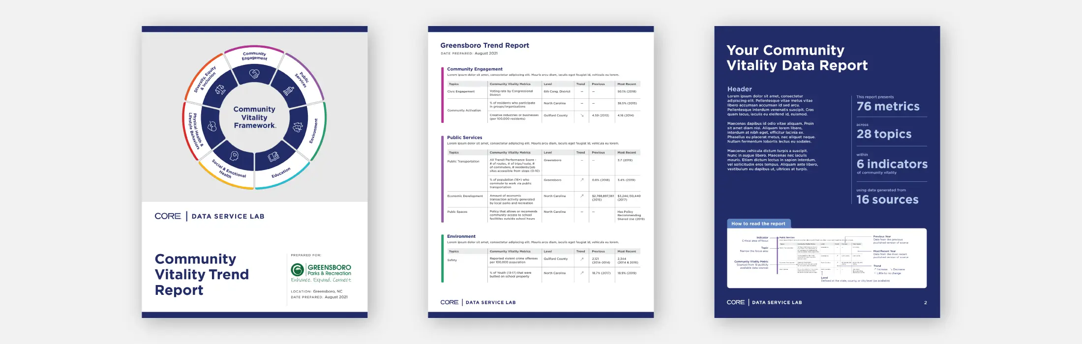 sample pages of CORE Community Vitality Data Report